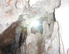 DSCF7166