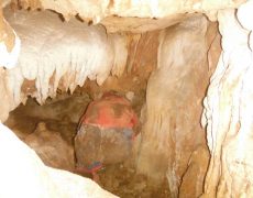DSCF7178