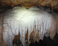 DSCF7184
