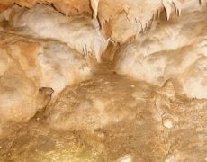 DSCF7186