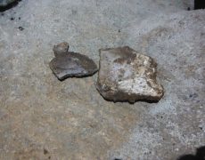 DSCF7189