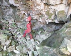 DSCF7197