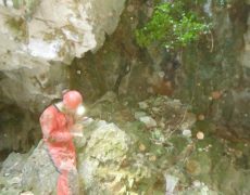 DSCF7220