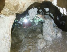 DSCF7223