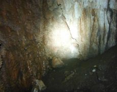 DSCF7270