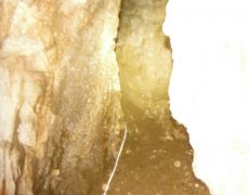 DSCF7273