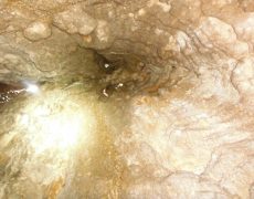 DSCF7277