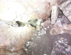 DSCF7281