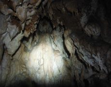 DSCF7282