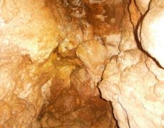 DSCF7285
