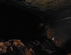 DSCF7288