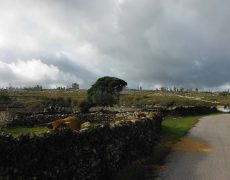 DSCF7296