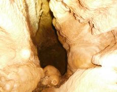 DSCF7315