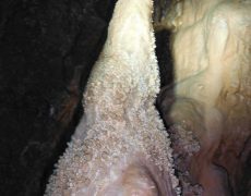 DSCF7327
