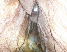DSCF7351
