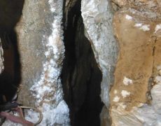 DSCF7576