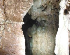 Figura 9 - Vista do patamar (Foto: Pedro Robalo - GEM)