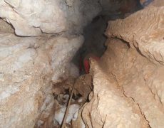 DSCN2924