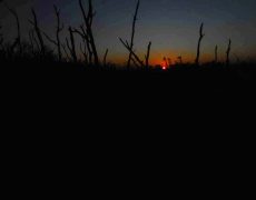 DSCN2932