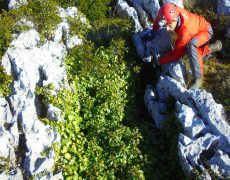 Figura 2 - Entrada do Algar Pena Traseira 2 (Foto: Sérgio Carvalho - GEM)