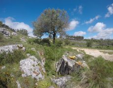 DCIM101GOPROGOPR2325.JPG