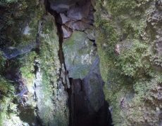 DCIM101GOPROGOPR2413.JPG