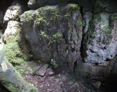 DCIM101GOPROGOPR2476.JPG