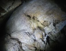 DCIM101GOPROGOPR2864.JPG