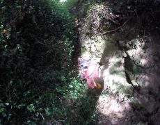 DCIM100GOPRO