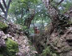 DCIM100GOPRO