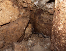 Figura 6 - Mina 2, final da galeria (Foto: Pedro Almeida - GEM)