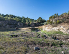 HQ2A2845PedroAlmeidaLR