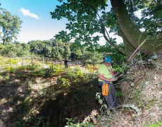 HQ2A2858PedroAlmeidaLR