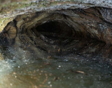 Figura 8 - Mina de água, imagem após dique (Foto: Pedro Almeida - GEM)