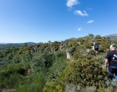 HQ2A2890PedroAlmeidaLR