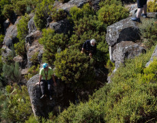 HQ2A2893PedroAlmeidaLR