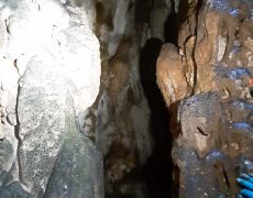 IMG-20200713-WA0004