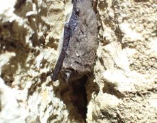 IMG_1772