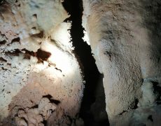 IMG_20200111_133735
