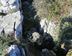 IMG_20200111_140222