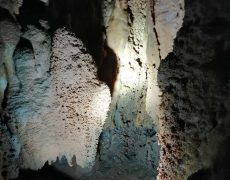 IMG_20200111_154447