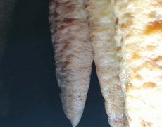 IMG_20200111_154551
