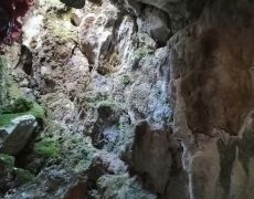 IMG_20200111_162225
