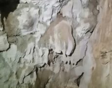 IMG_20200111_162308