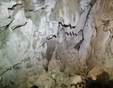 IMG_20200111_162317