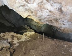 IMG_20200111_165045