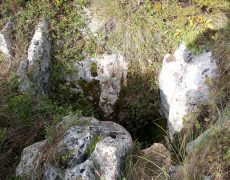 Figura 8 - Entrada do Algar Shiny (Foto: Jorge Faustino - GEM)