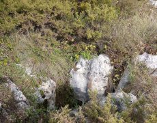 IMG_20200215_111509_2