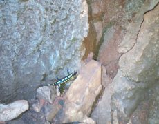 IMG_20200215_114115_8