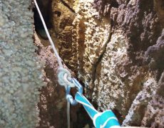 IMG_20200215_115543_5